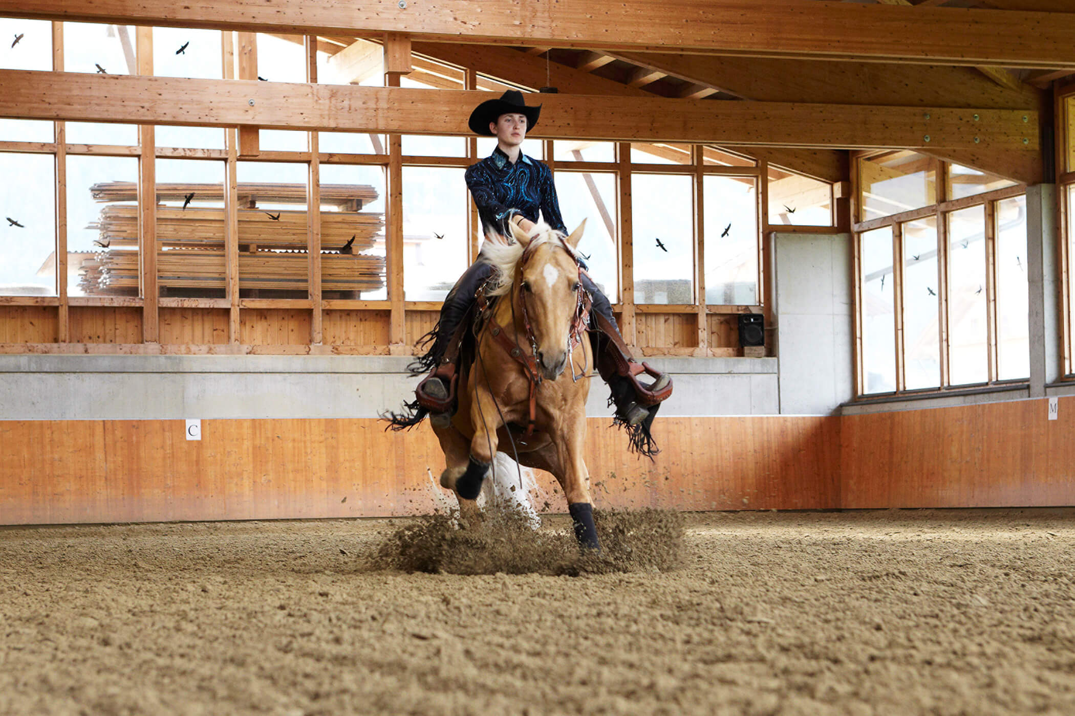 Riding farm - der Tharerwirt