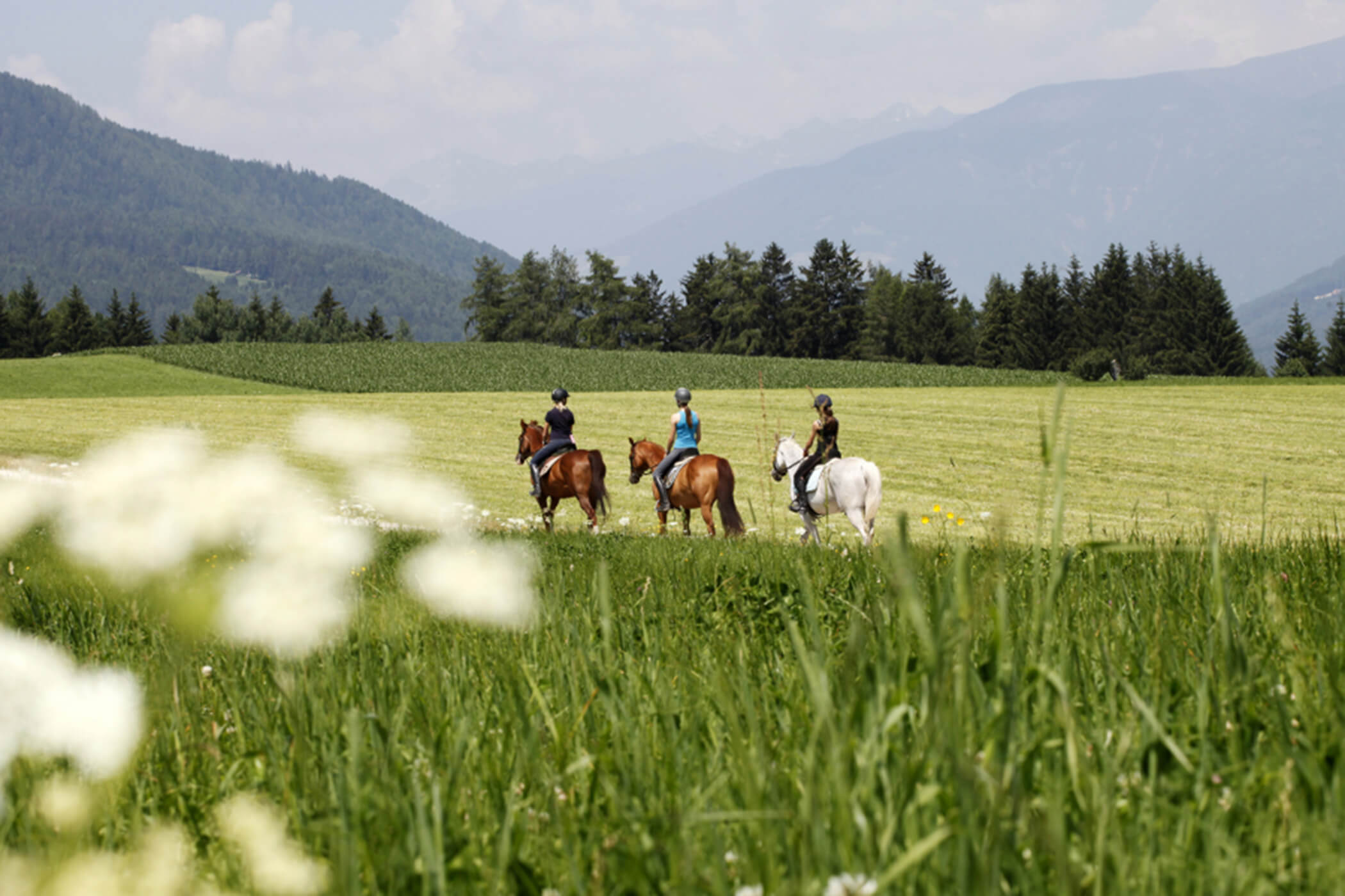 Horses - horseback riding in Valdaora