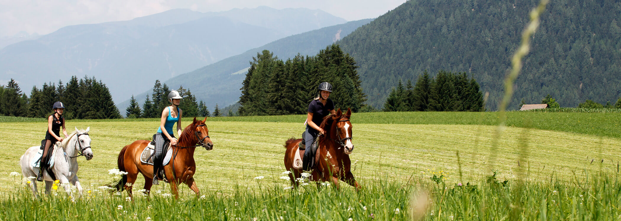 Riding lessons - der Tharerhof